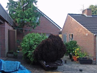 2004
